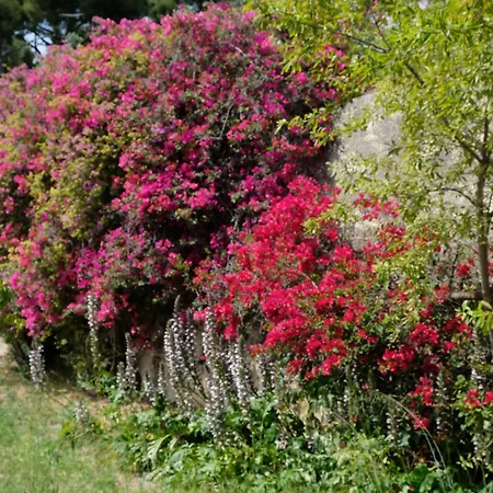 דירה Mas Sainte Marie *