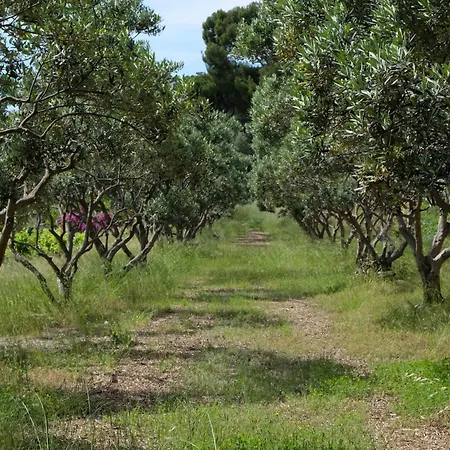 דירה Mas Sainte Marie *